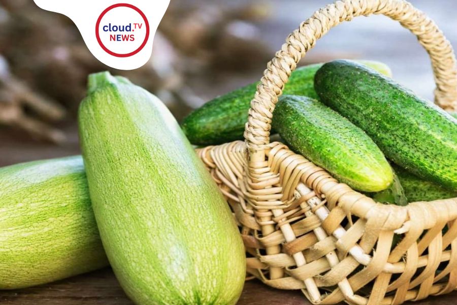 cucumber in winter, some precautions
