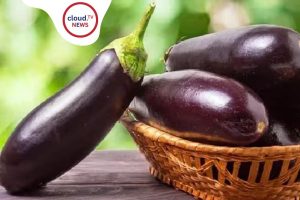 Eggplant