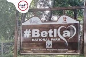betla national park