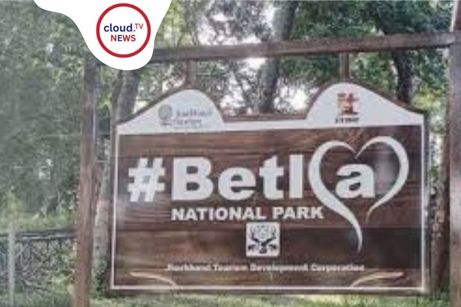 betla national park weekend destination from kolkata