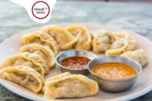 Dog Cat Meat Momo