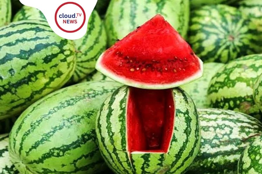 Watermelon Keeps Cool in the Summer Heat %%page%% %%sep%% %%sitename%%