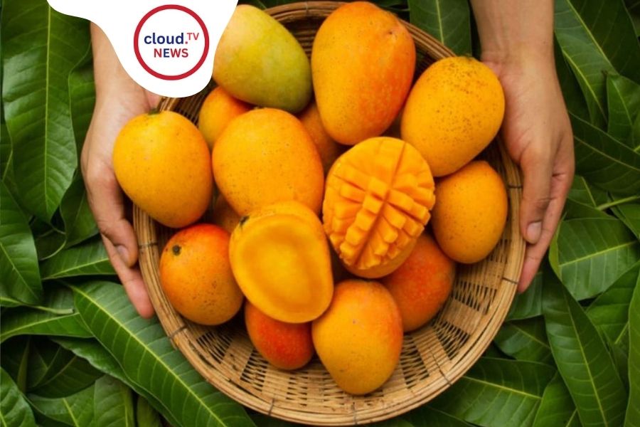 WhenToEatMangoes for Optimal Health Benefits %%page%% %%sep%% %%sitename%%