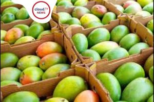 IndianMangoExport