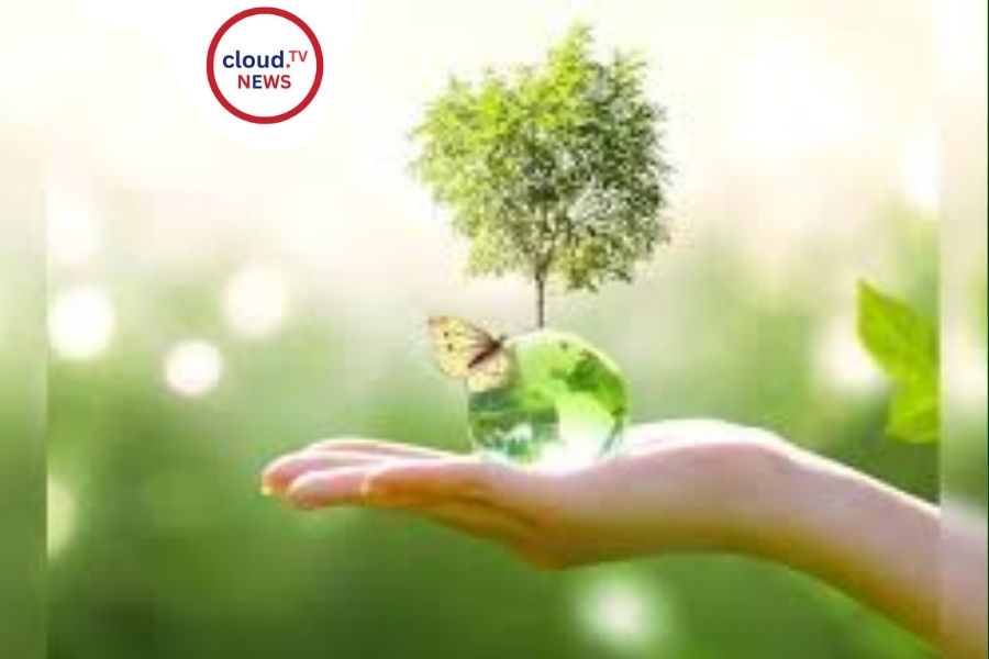World Environment Day: A Call to Action %%page%% %%sep%% %%sitename%%
