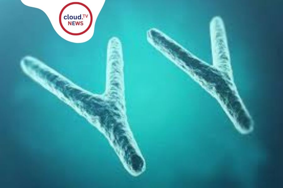 YChromosome: The Key to Male Identity %%page%% %%sep%% %%sitename%%