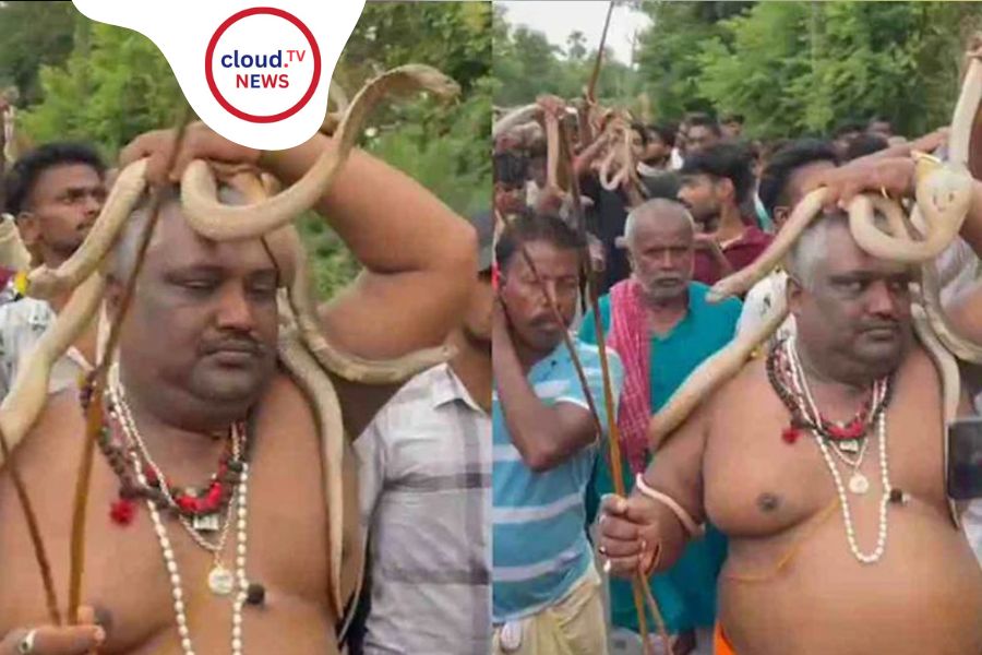 Bihar Snake Festival: A Unique Religious Celebration %%page%% %%sep%% %%sitename%%