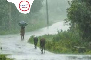 AliporeForecast RainUpdateWB