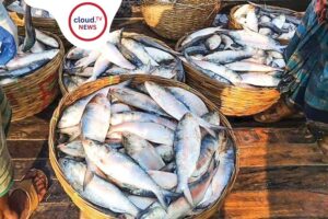 বাংলাদেশি ইলিশ কলকাতায়