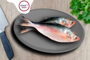 Bangladesh deploys warships hilsa