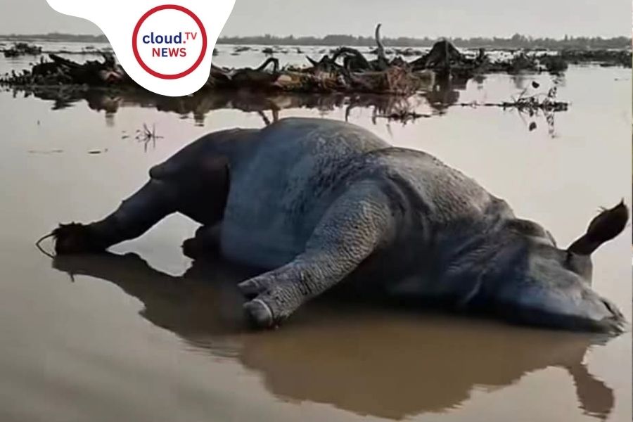 গরুমারার গন্ডারের দেহ ভেসে উঠলো বাংলাদেশের কুড়িগ্রামে, চাঞ্চল্য দুই বাংলায়