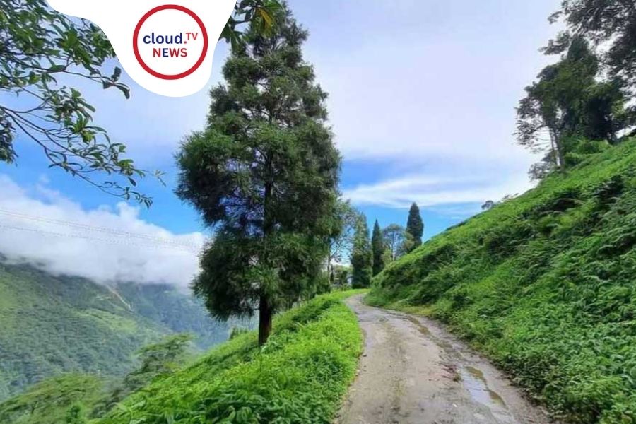 দার্জিলিং নয়, এবার অফবিটে ভিড়! উত্তরবঙ্গের এই ৩ গ্রামেই মিলবে আসল পাহাড়ের শান্তি